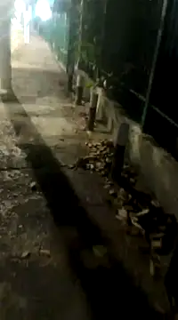 spacegirlll online show from 03/14/25, 08:10