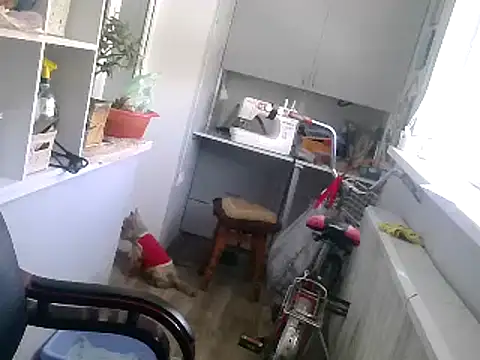 TanyaSweet634 online show from 02/22/25, 10:40