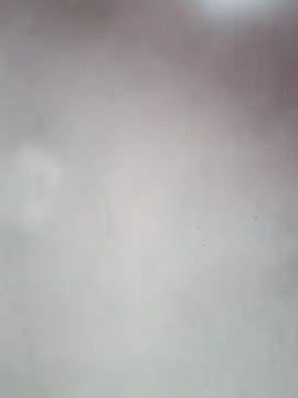  violetta - online show from 10/12/25, 12:59