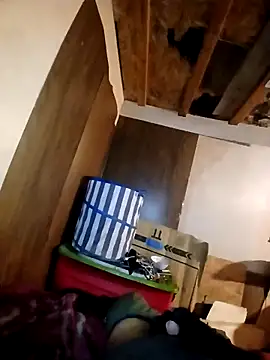 beliqi online show from 11/15/25, 05:49