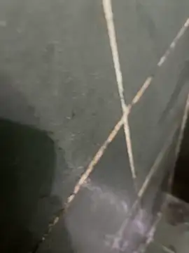 Snapshot of gzn01 chatting on 10/28/25, 04:49 gzn01 online show from 10/28/25, 04:49