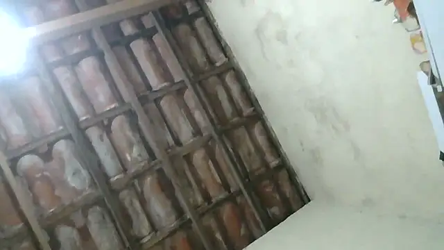 pornstarbrezillian online show from 10/16/25, 07:59