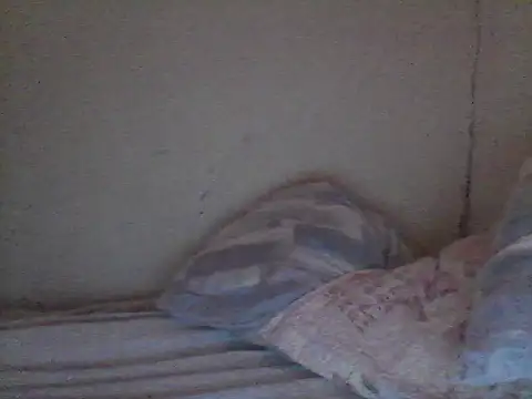 pornstarbrezillian online show from 11/13/25, 12:48