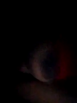 pornstarbrezillian online show from 11/15/25, 04:54