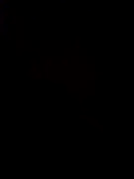 pornstarbrezillian online show from 11/24/25, 08:25