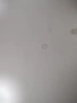 geilerschwanz64 online show from 10/24/25, 07:05