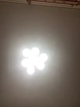 Janet Welder online show from 11/16/25, 08:25