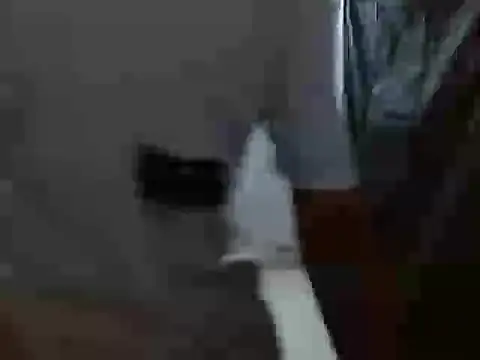 Snapshot of latino_hotxxx chatting on 10/20/25, 11:27 latino hotxxx online show from 10/20/25, 11:27