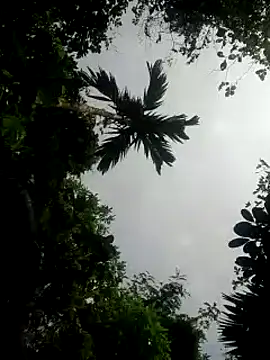 kumaricapalsex2 online show from 01/26/25, 05:34