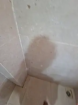 vivanpraj999 online show from 11/25/25, 04:23