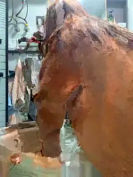 Snapshot of Aimeil chatting on 11/18/25, 03:27 Aimeil online show from 11/18/25, 03:27