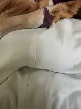 hamed-697 online show from 12/04/24, 09:57