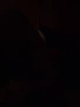 Dikkiduohottt online show from 12/21/24, 05:14