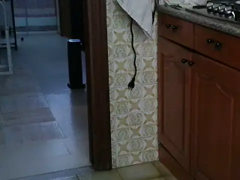 VeneRed online show from 10/13/25, 08:03