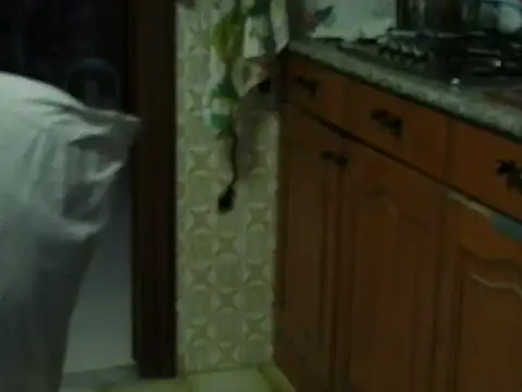 VeneRed online show from 10/27/25, 03:49