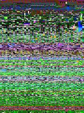 Snapshot of desiduzz21 chatting on 02/22/25, 11:24 desiduzz21 online show from 02/22/25, 11:24