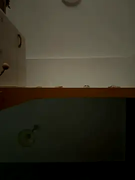 Snapshot of Lecatore80 chatting on 11/09/25, 07:50 Lecatore80 online show from 11/09/25, 07:50