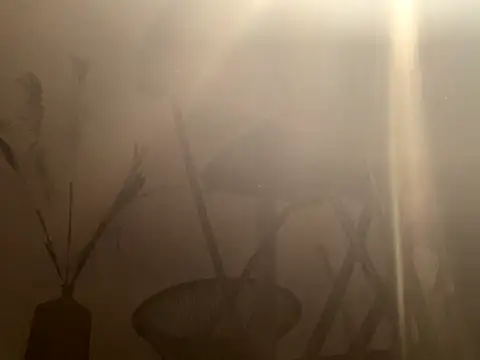 mesetti online show from 12/08/24, 03:13