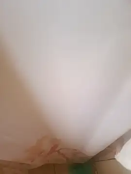 403notfound online show from 11/03/25, 04:41