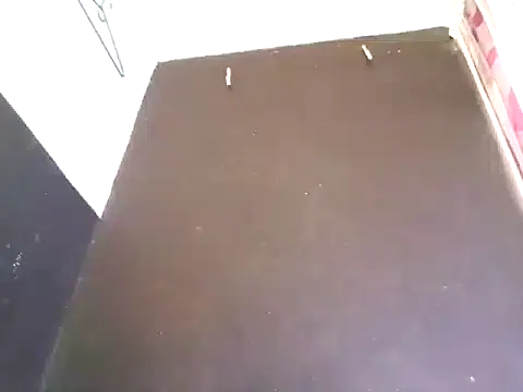 Loggan donnelly online show from 10/29/25, 08:32