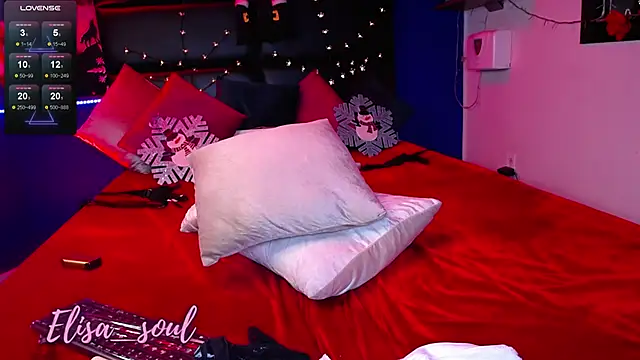 Elisa Soul online show from 12/28/24, 07:01