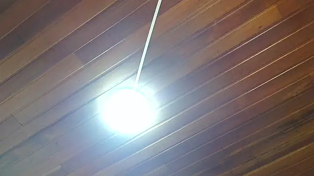 georgia oli online show from 11/15/25, 01:25