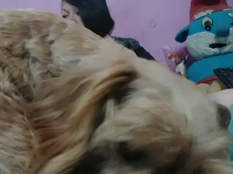 Snapshot of Cheliafun chatting on 10/25/25, 02:13 Cheliafun online show from 10/25/25, 02:13