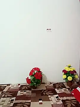 Saroj-Shah online show from 10/11/25, 03:50