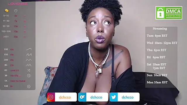 dchcco online show from 11/04/25, 11:48