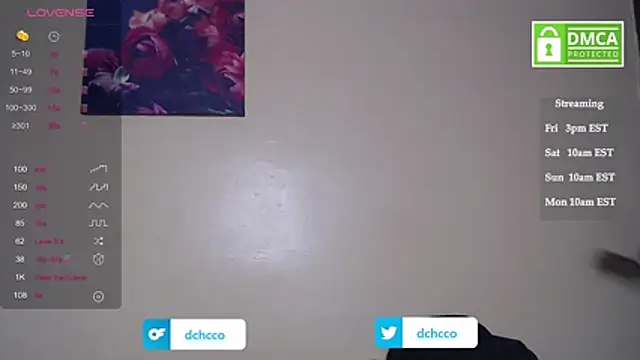 dchcco online show from 11/07/25, 08:09