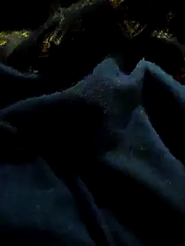 Snapshot of pusssyhub chatting on 11/29/25, 11:08 pusssyhub online show from 11/29/25, 11:08