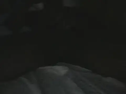 Snapshot of tumarditoperro chatting on 12/30/24, 10:01 tumarditoperro online show from 12/30/24, 10:01