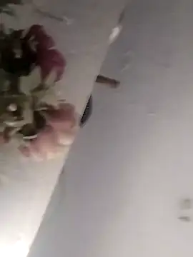 sruthi telugu online show from 12/14/24, 08:34