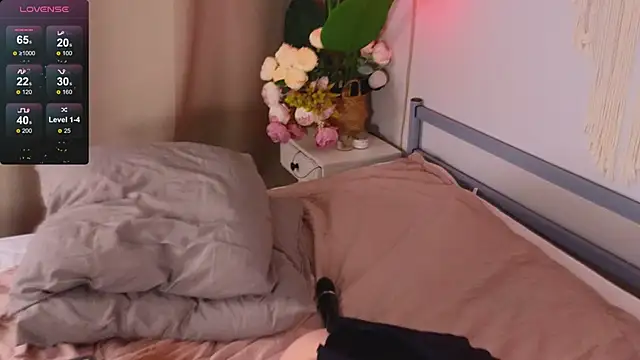 Devilsss toy online show from 12/25/24, 05:26