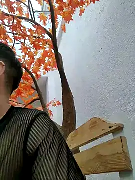 Snapshot of Andrewfalcon chatting on 10/04/25, 11:52 Andrewfalcon online show from 10/04/25, 11:52