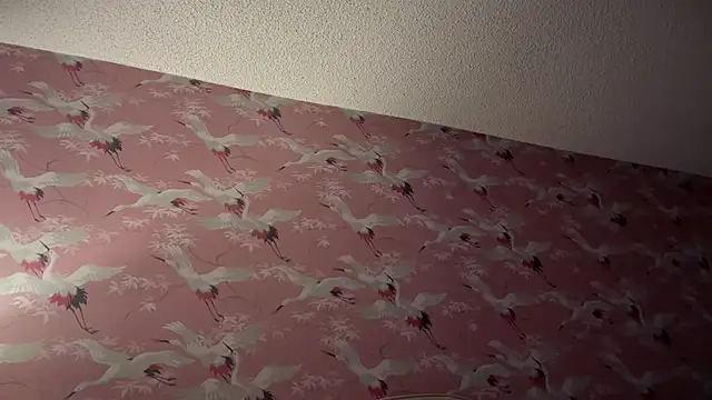 Snapshot of Youngjoshy chatting on 11/13/25, 07:40 Youngjoshy online show from 11/13/25, 07:40