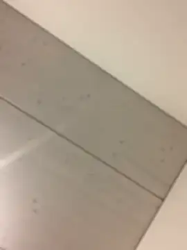 Snapshot of bonbonaumiel chatting on 01/14/25, 10:34 bonbonaumiel online show from 01/14/25, 10:34