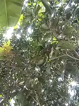 Snapshot of desicockblack chatting on 01/02/25, 04:41 desicockblack online show from 01/02/25, 04:41