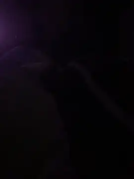 solomec online show from 03/06/25, 10:26