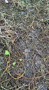 tamil000000 online show from 03/16/25, 01:38