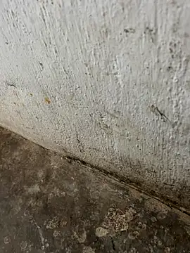 tamil000000 online show from 11/03/25, 03:30