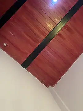 Cassie-millers online show from 12/20/24, 03:00