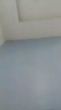 Dexiboy online show from 01/07/25, 05:31