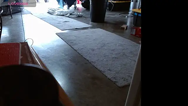 69vivian online show from 12/13/24, 08:15