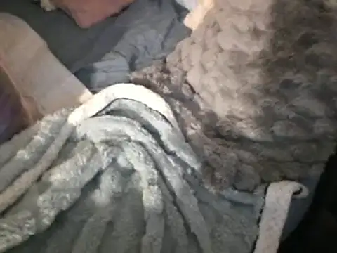 housewife shantie online show from 03/15/25, 08:04