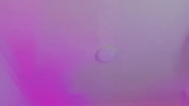 AlliJadid online show from 11/19/25, 11:21