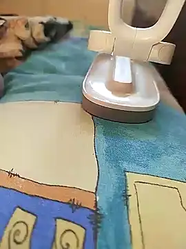 sanek1995sexx online show from 01/02/25, 12:24