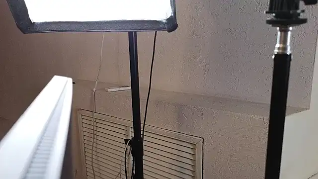 Snapshot of Penelope_Pinky chatting on 10/13/25, 11:54 Penelope Pinky online show from 10/13/25, 11:54