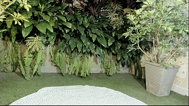 Snapshot of loladupont chatting on 09/10/25, 03:06 loladupont online show from 09/10/25, 03:06