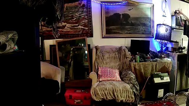 SilverandFox online show from 01/27/25, 09:34